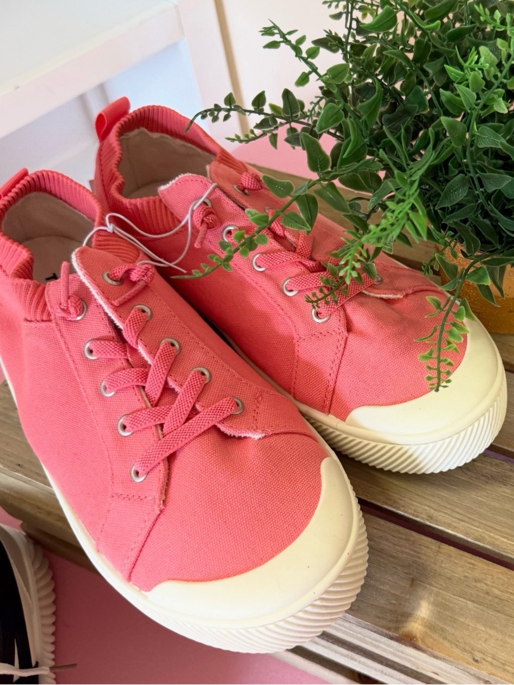 Brand New Torrid Pink Canvas Sneakers Size 11 Wide